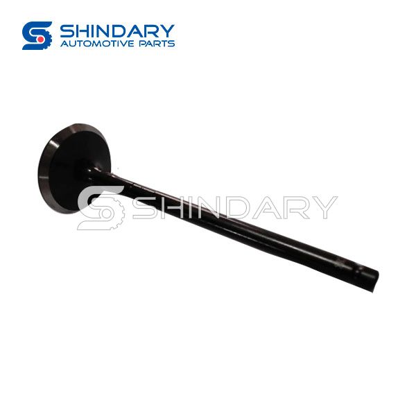Exhaust Valve AT4Z 6505-A for FORD EDGE